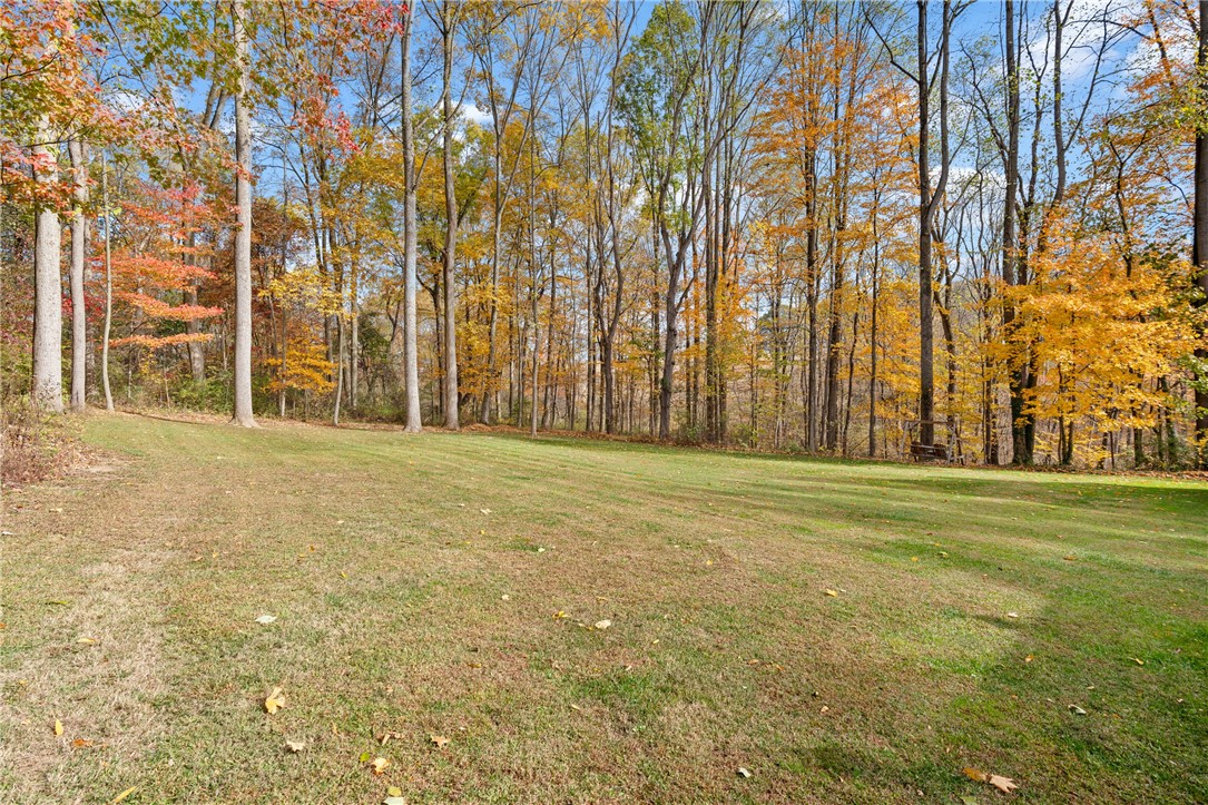 1725 Mount Jackson Rd