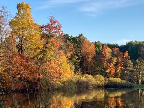 1725 Mount Jackson Rd