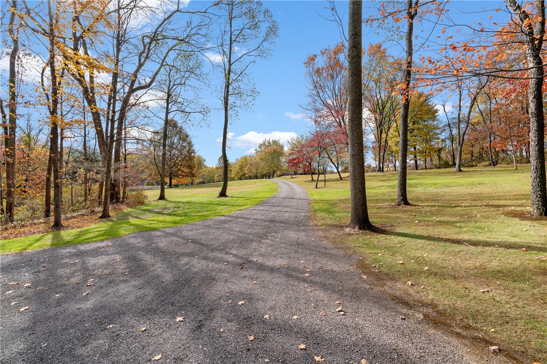 1725 Mount Jackson Rd