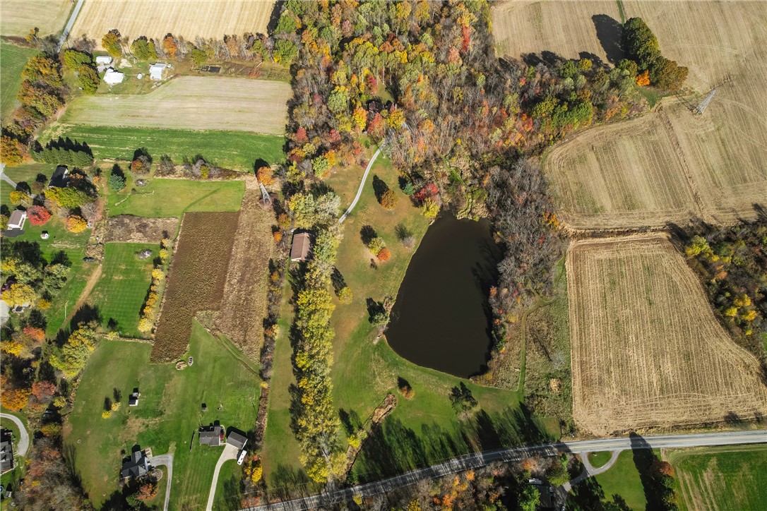 1725 Mount Jackson Rd