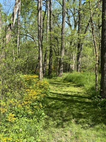 1725 Mount Jackson Rd