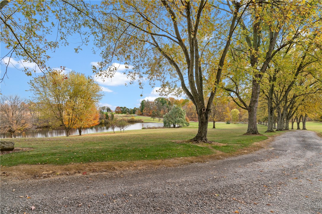 1725 Mount Jackson Rd