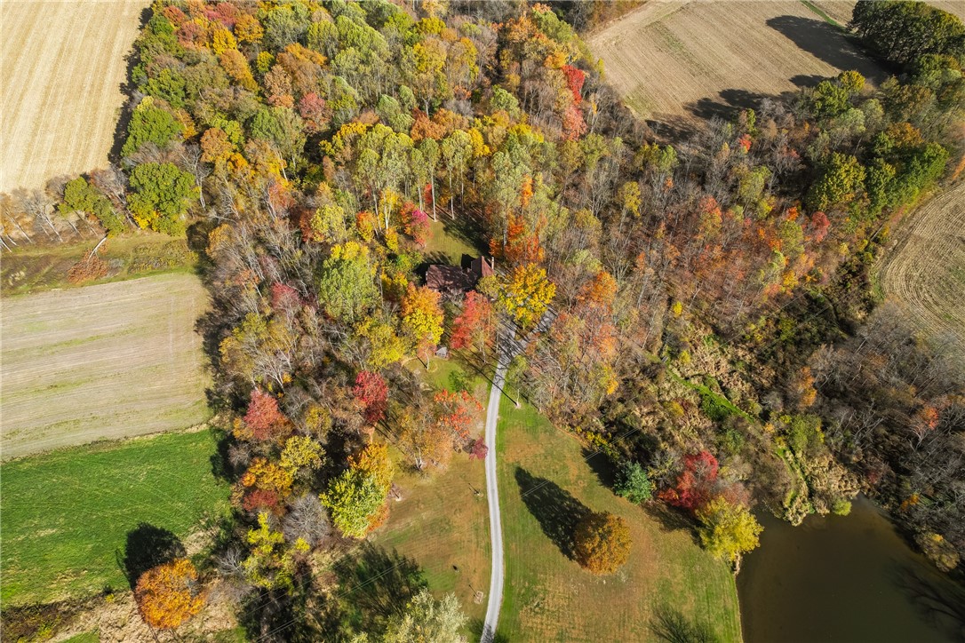 1725 Mount Jackson Rd