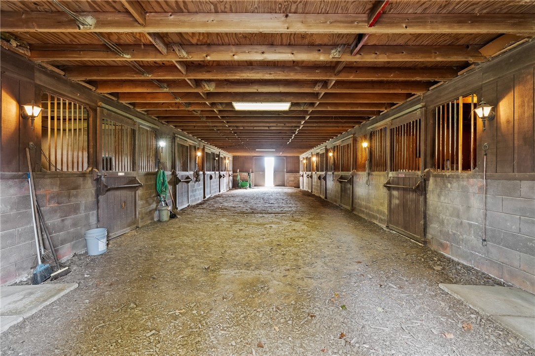 1725 Mount Jackson Rd