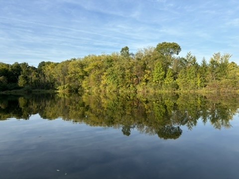 1725 Mount Jackson Rd