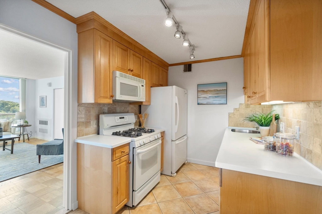 77 Pond Ave # 1202