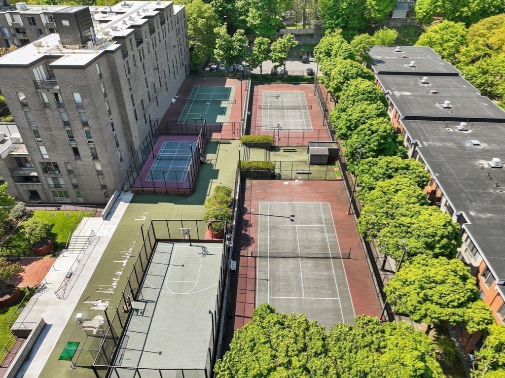 77 Pond Ave # 1202