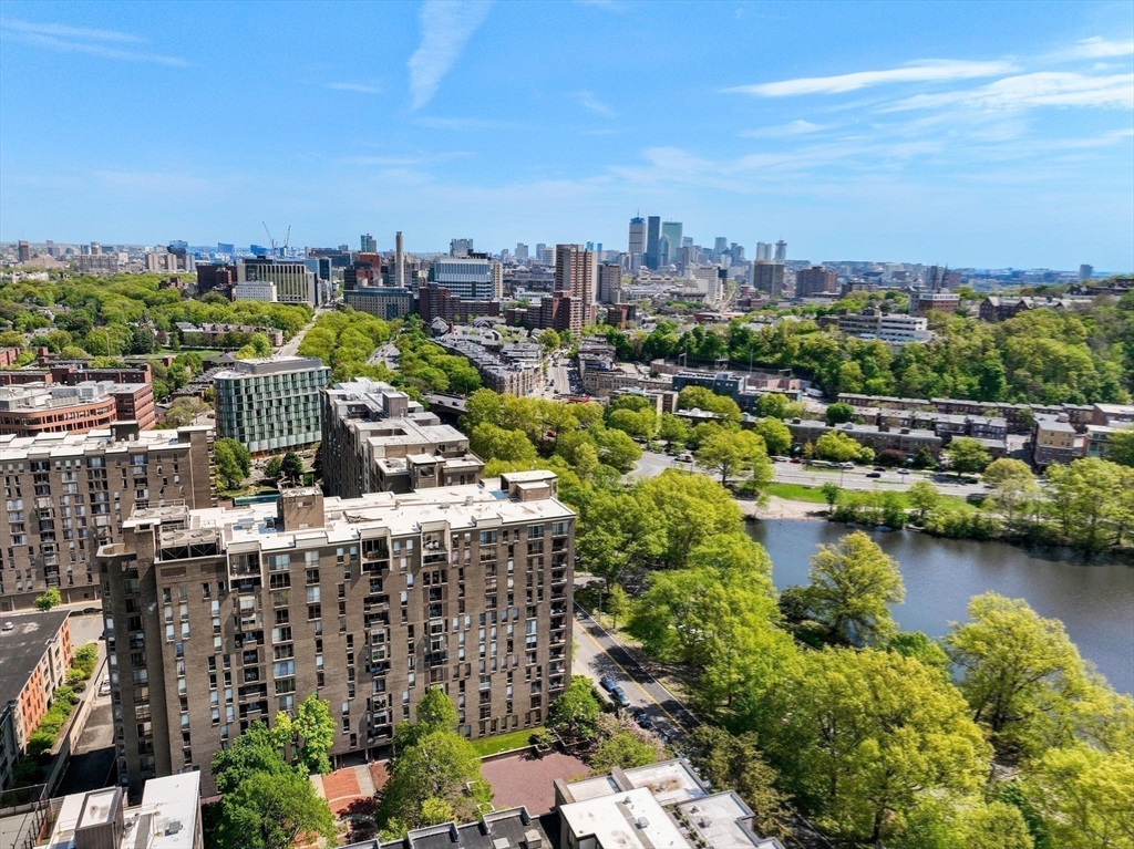 77 Pond Ave # 1202
