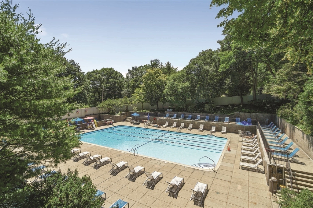 77 Pond Ave # 1202