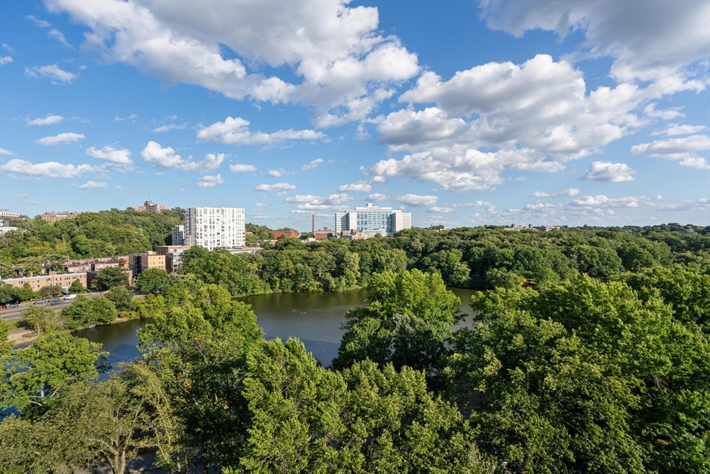 77 Pond Ave # 1202