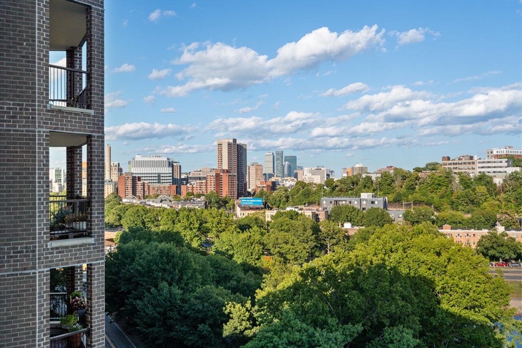 77 Pond Ave # 1202