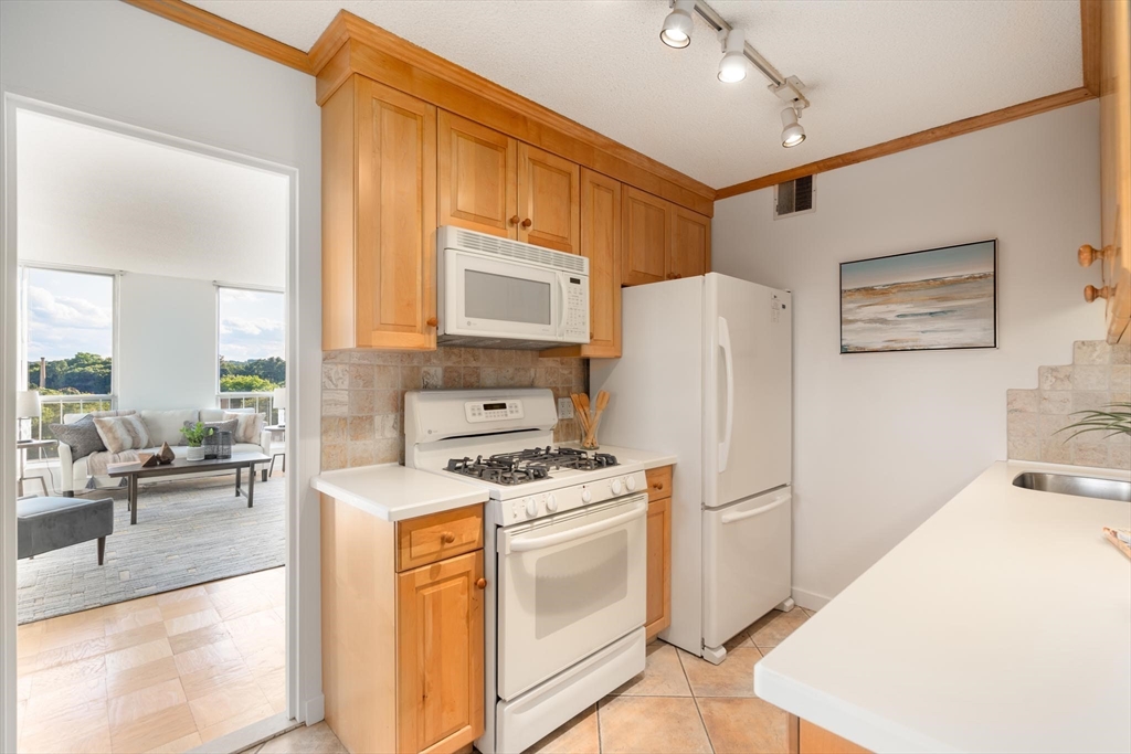 77 Pond Ave # 1202