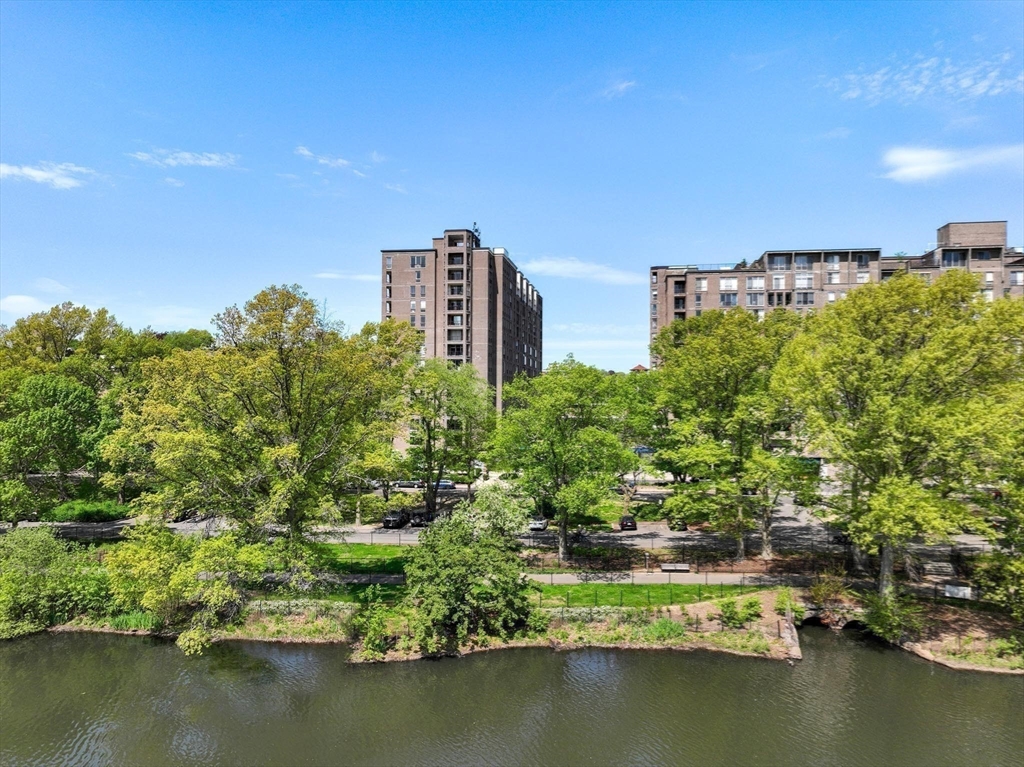 77 Pond Ave # 1202