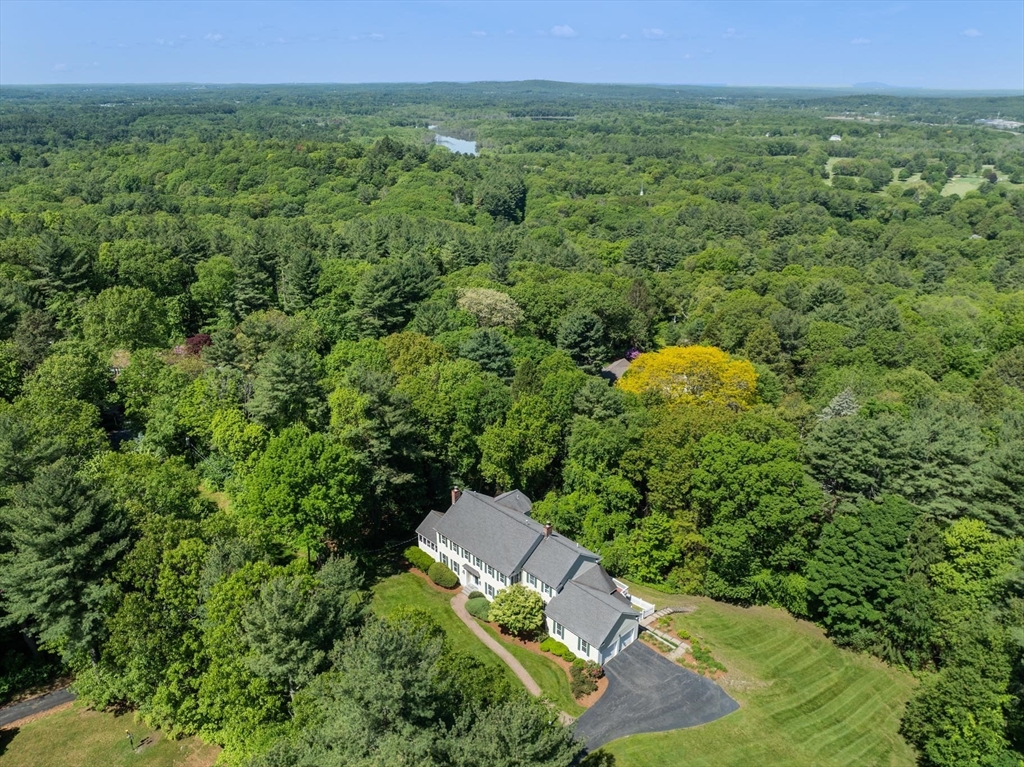22 Forest Hill Rd