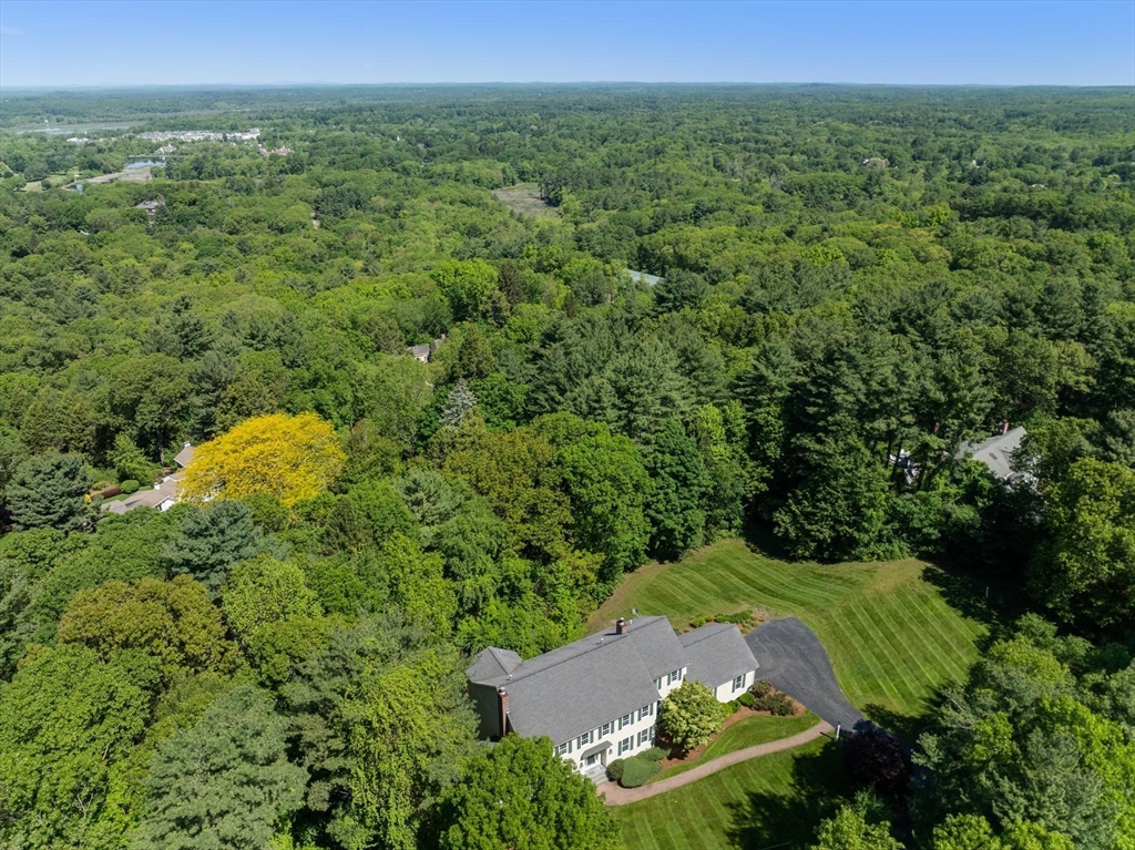 22 Forest Hill Rd
