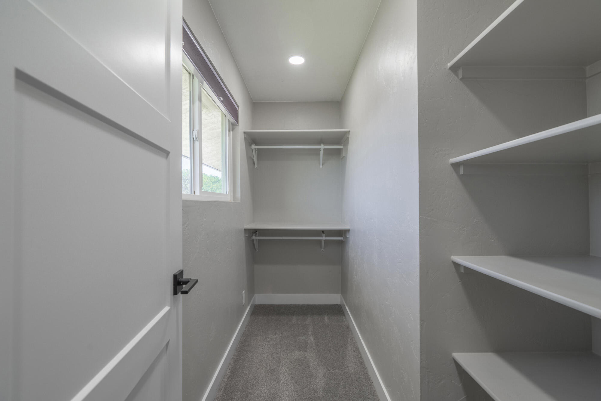 1135 Redwood Tree ST