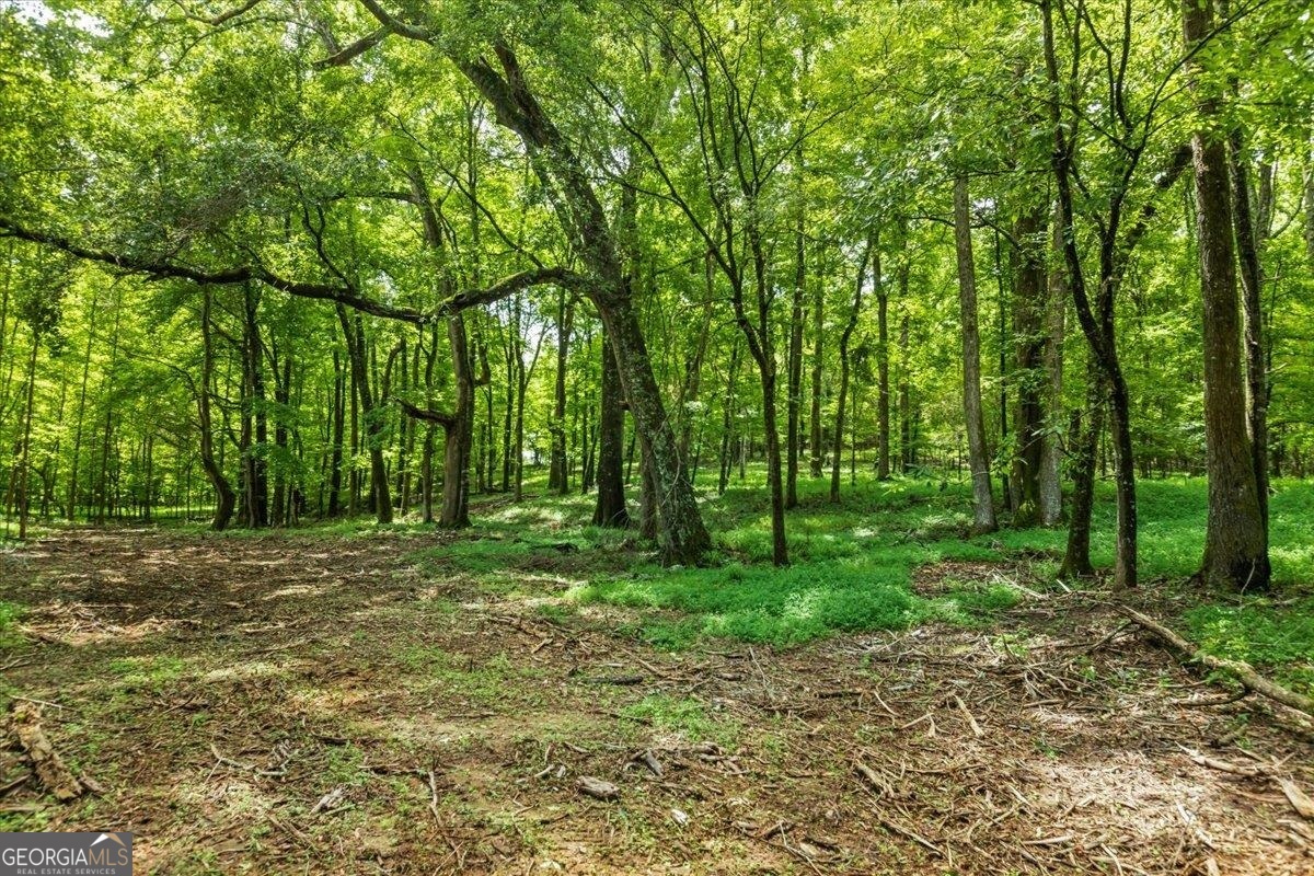 0 Creekview Drive