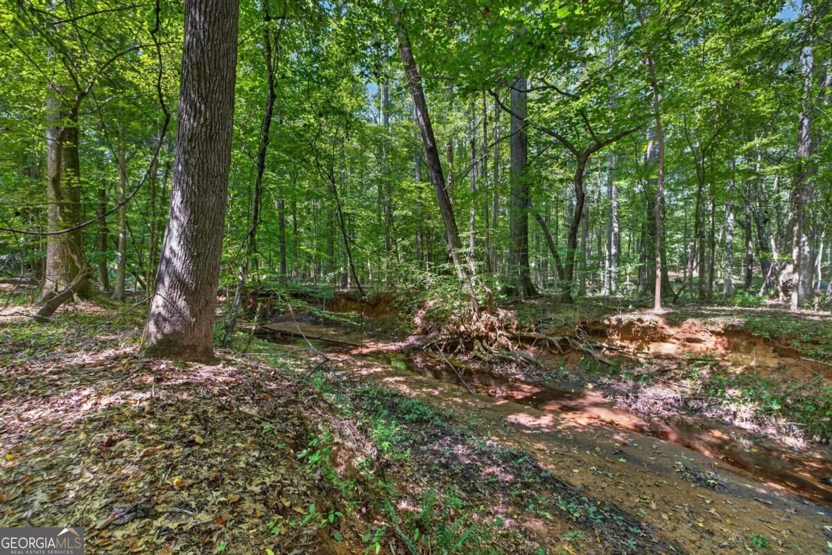 1331 Heidi Trail