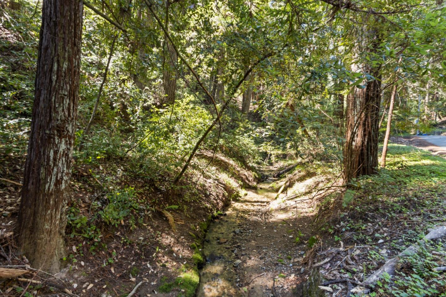 Lot 10 Hubbard Gulch RD