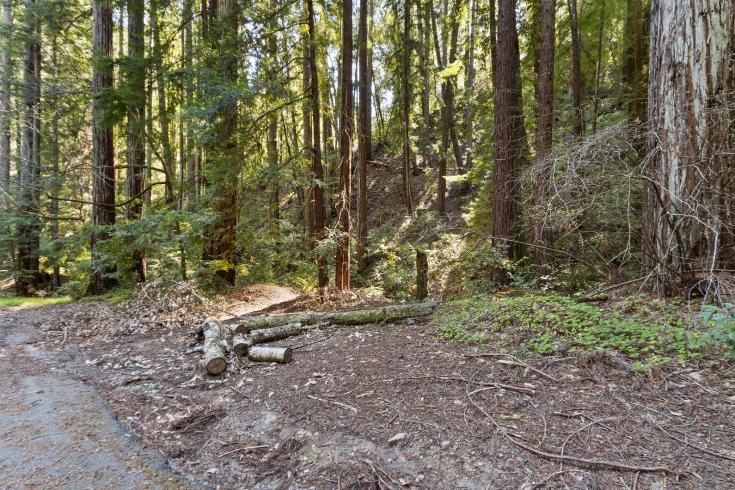 Lot 10 Hubbard Gulch RD