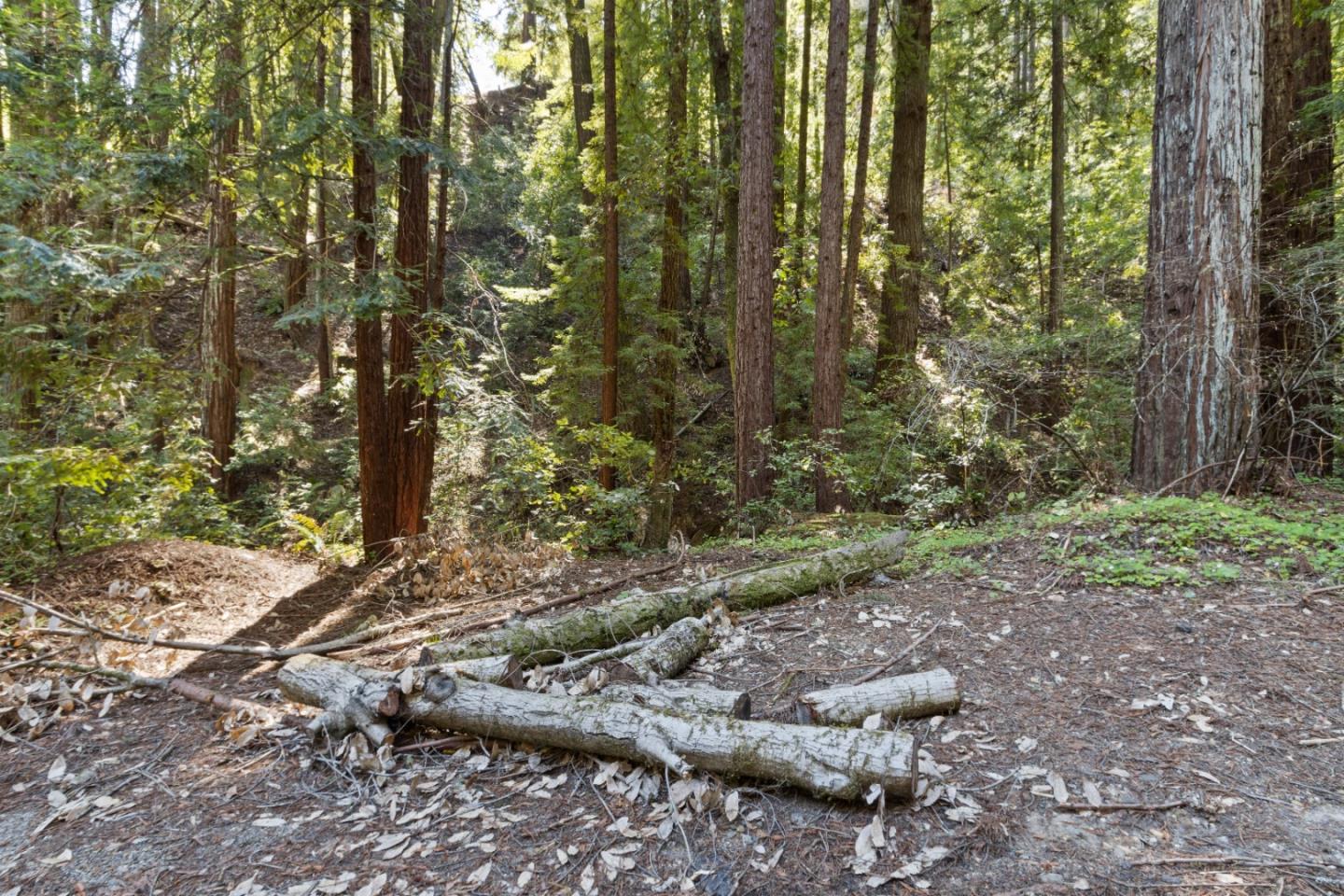 Lot 10 Hubbard Gulch RD