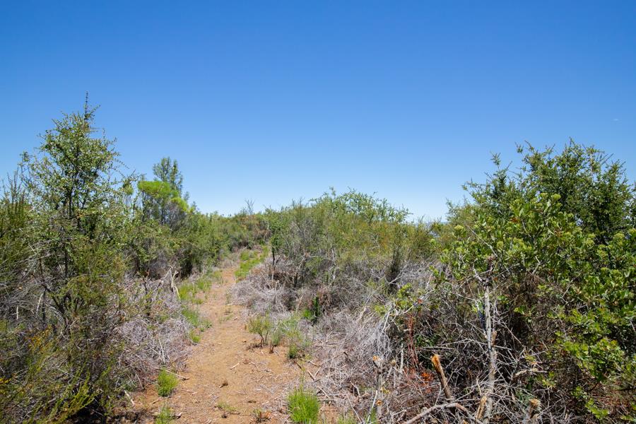 Lot 002 Chinquapin LN