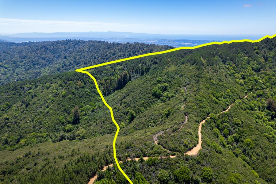 Lot 002 Chinquapin LN