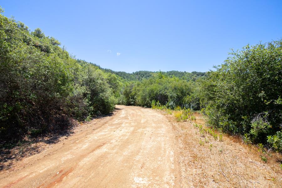 Lot 002 Chinquapin LN