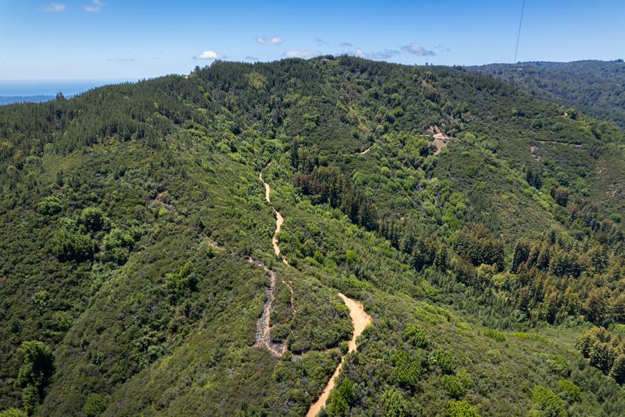 Lot 002 Chinquapin LN