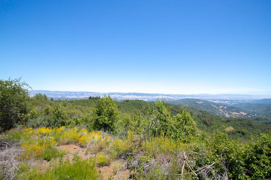 Lot 002 Chinquapin LN