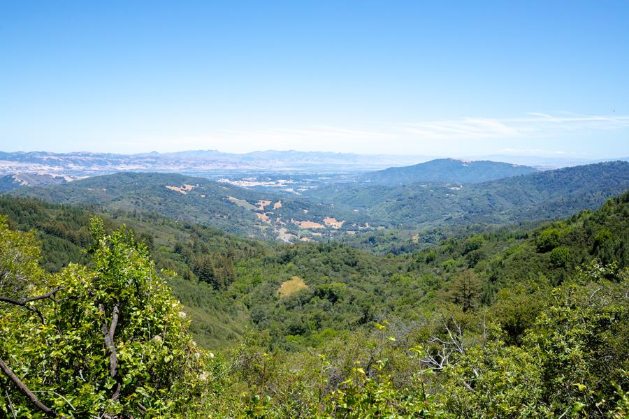 Lot 002 Chinquapin LN
