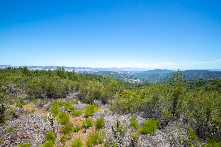 Lot 002 Chinquapin LN