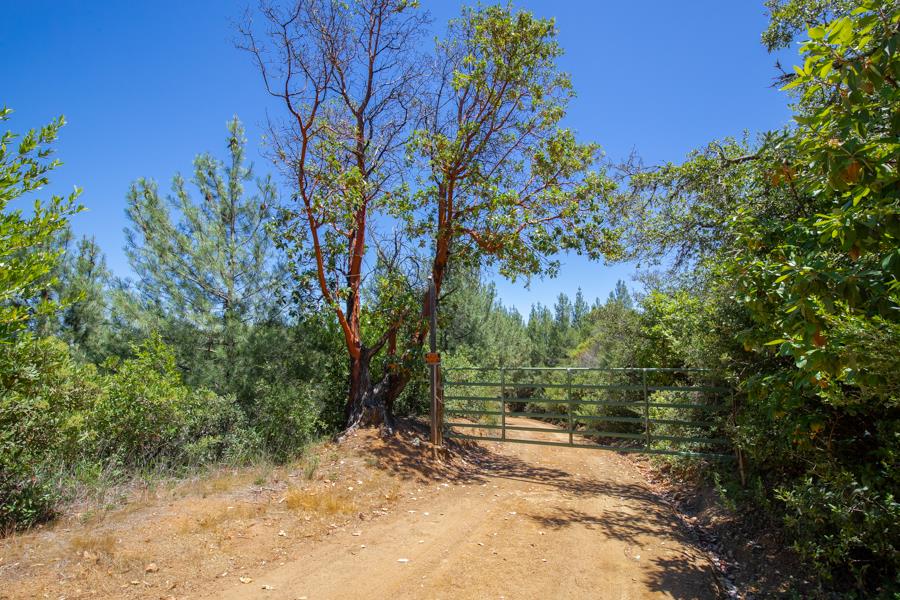 Lot 002 Chinquapin LN