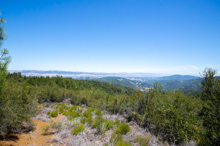 Lot 002 Chinquapin LN