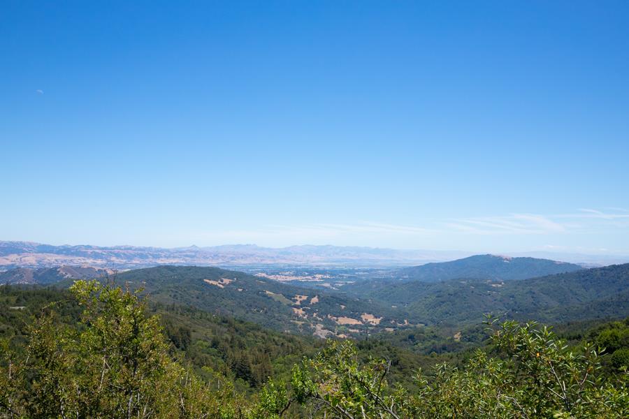 Lot 002 Chinquapin LN