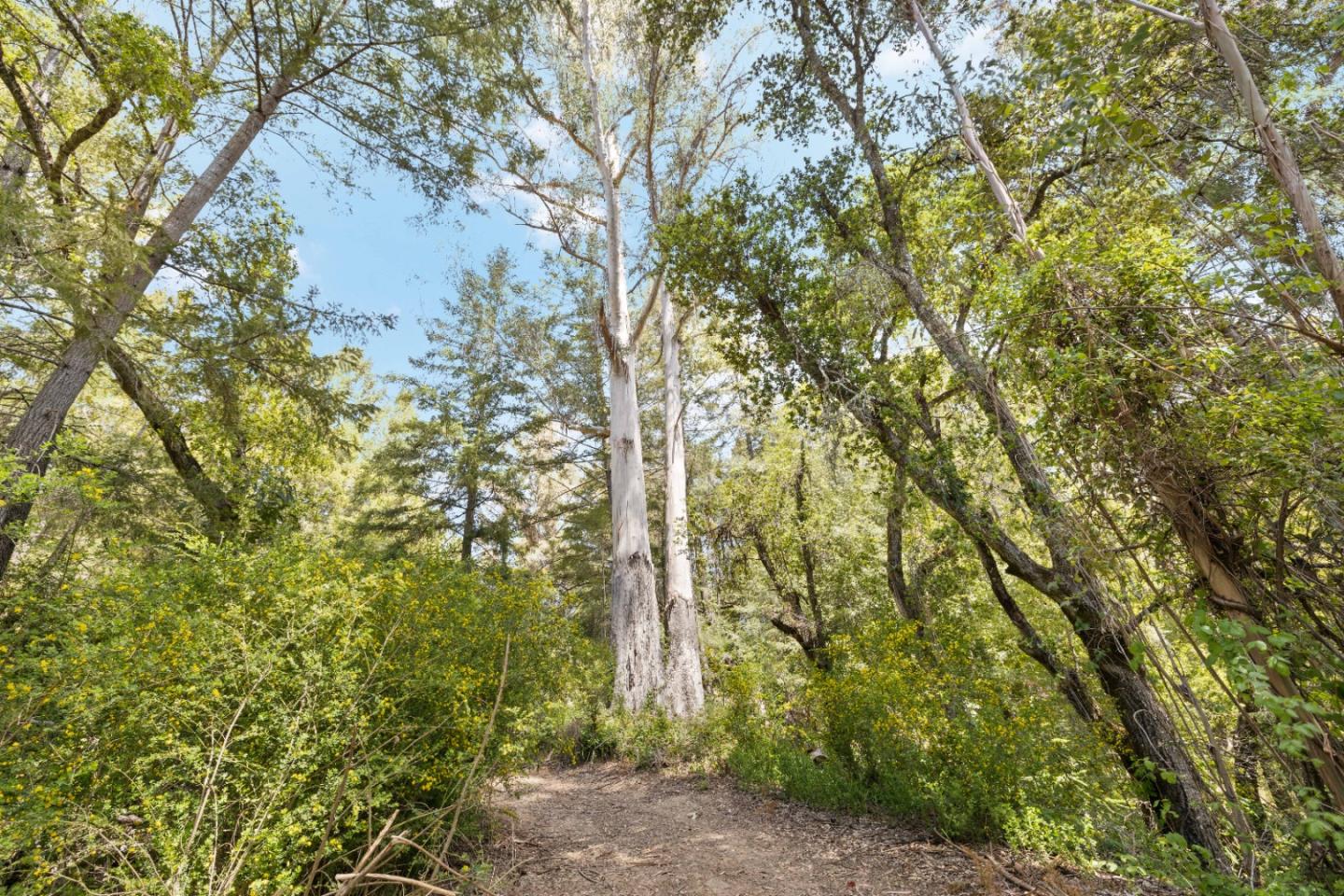Lot 12 Wickert RD