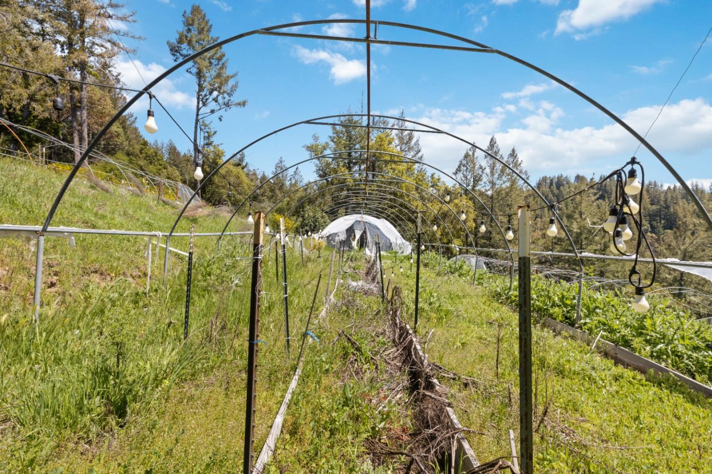 Lot 12 Wickert RD