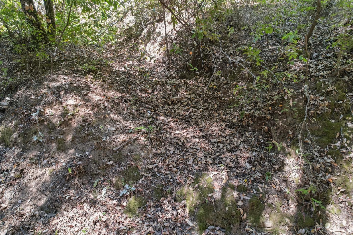 Lot 01 Hubbard Gulch RD
