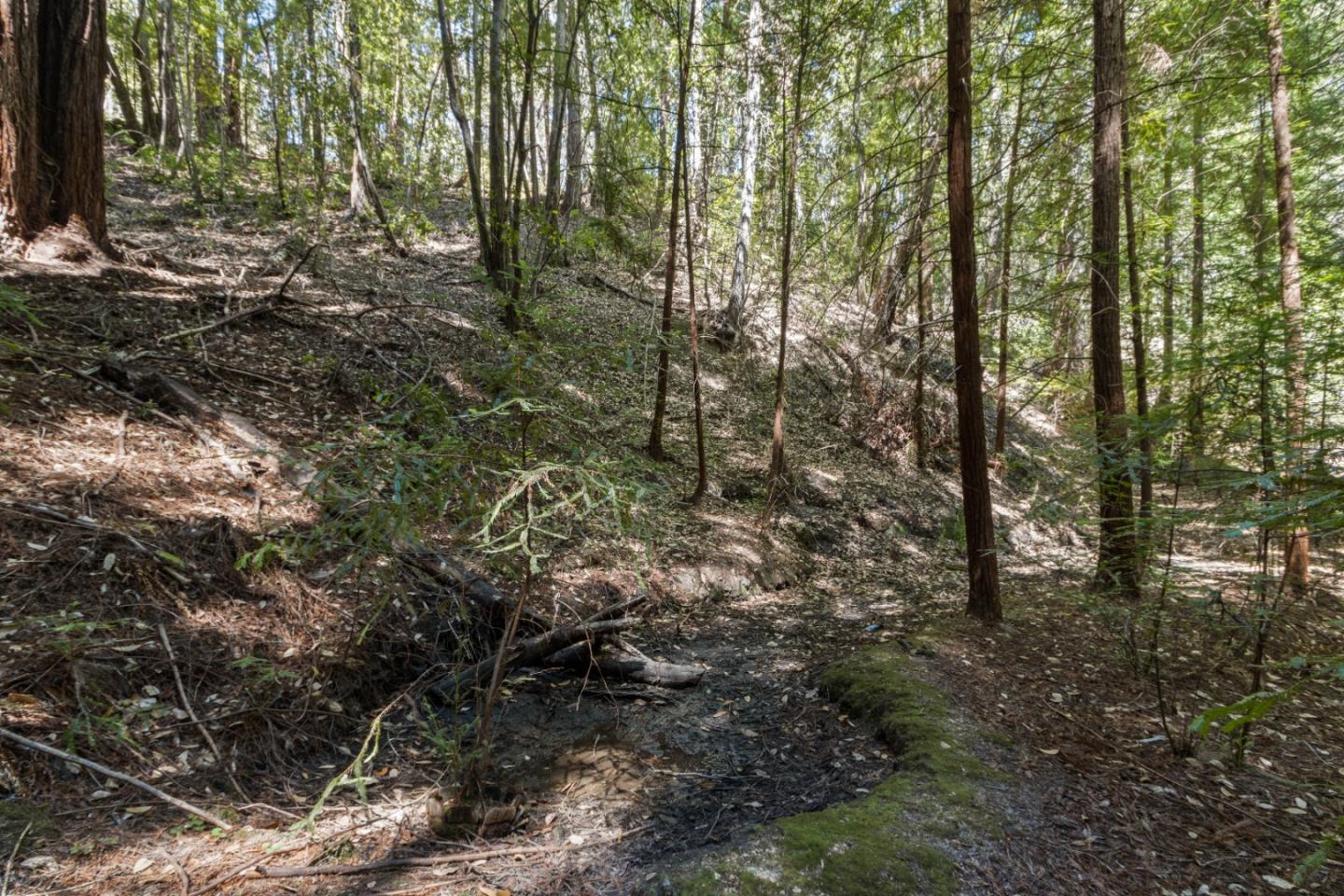 Lot 01 Hubbard Gulch RD