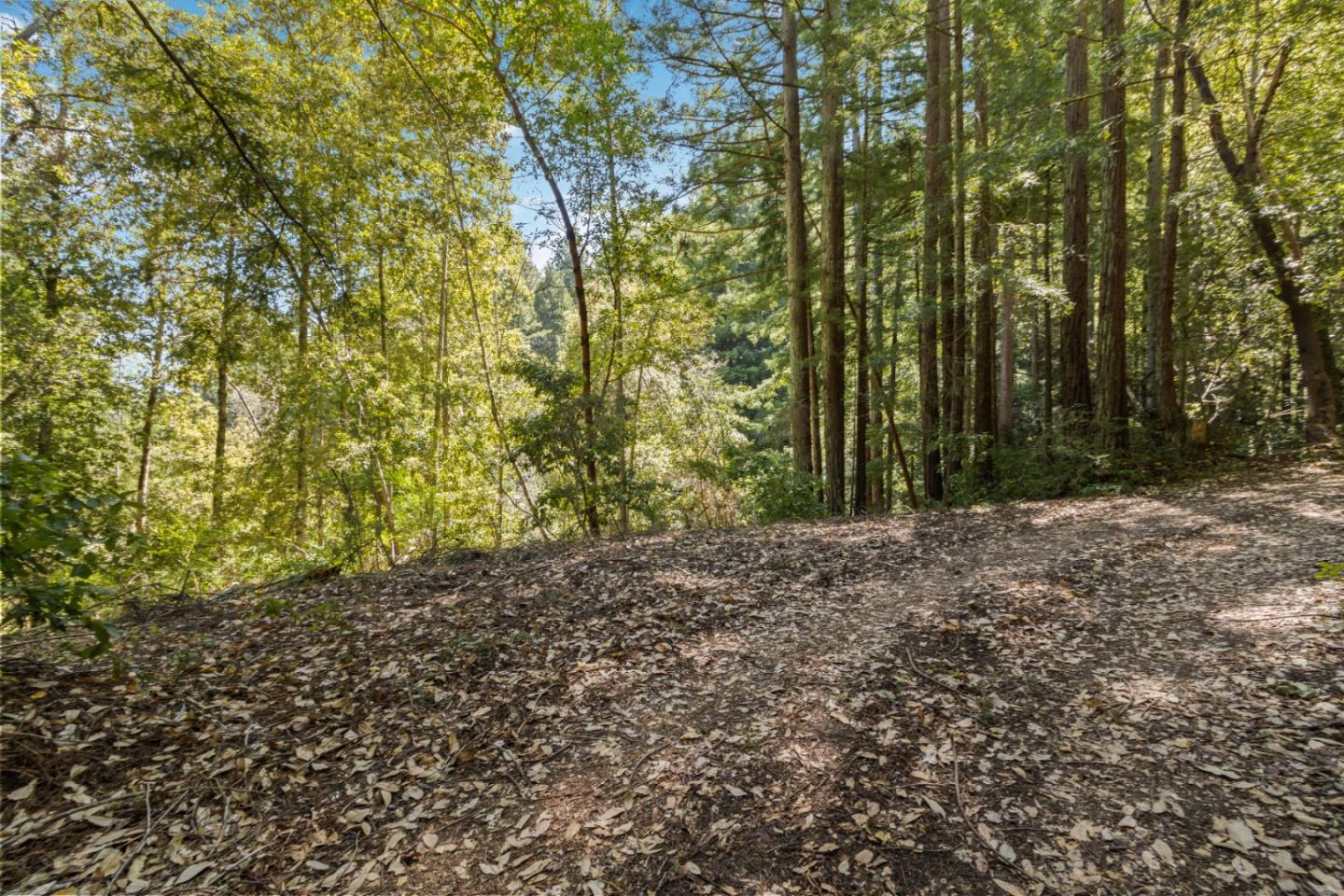 Lot 01 Hubbard Gulch RD