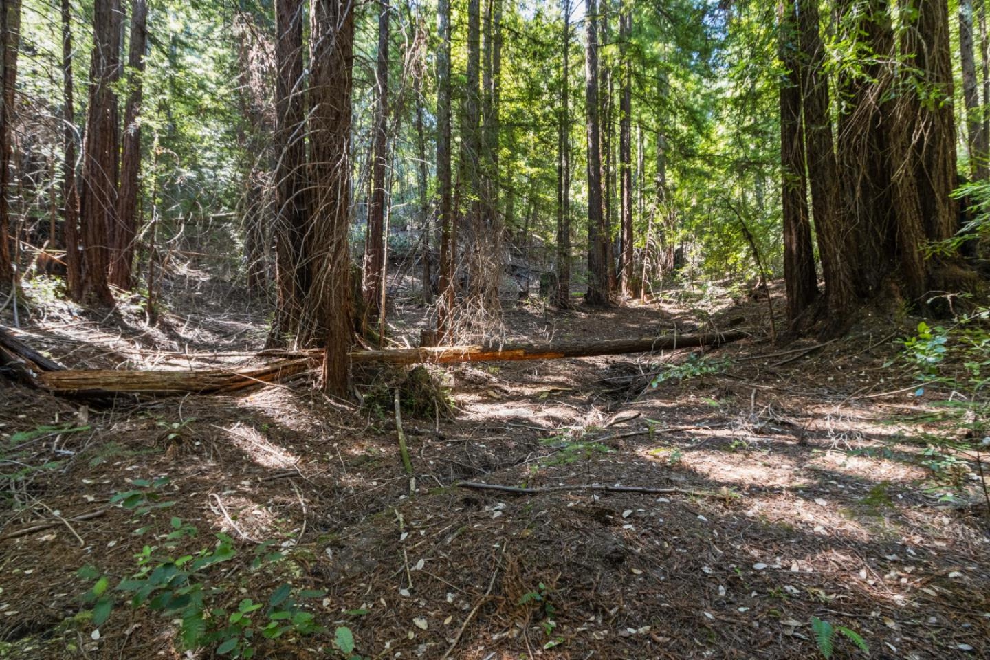 Lot 01 Hubbard Gulch RD