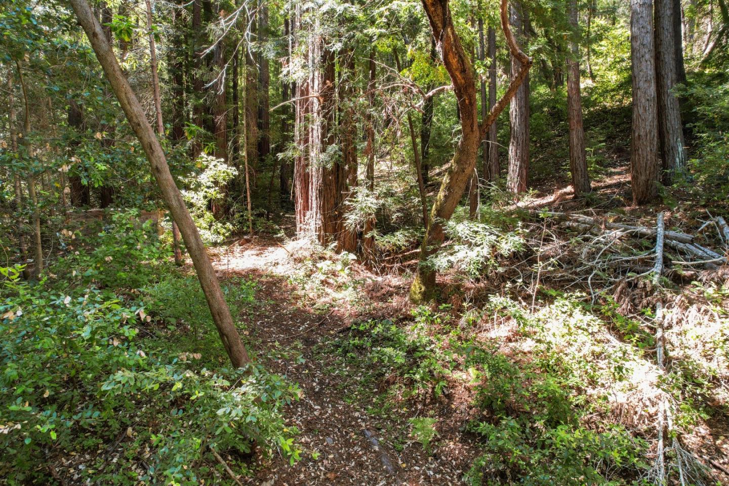Lot 25 Logan Creek