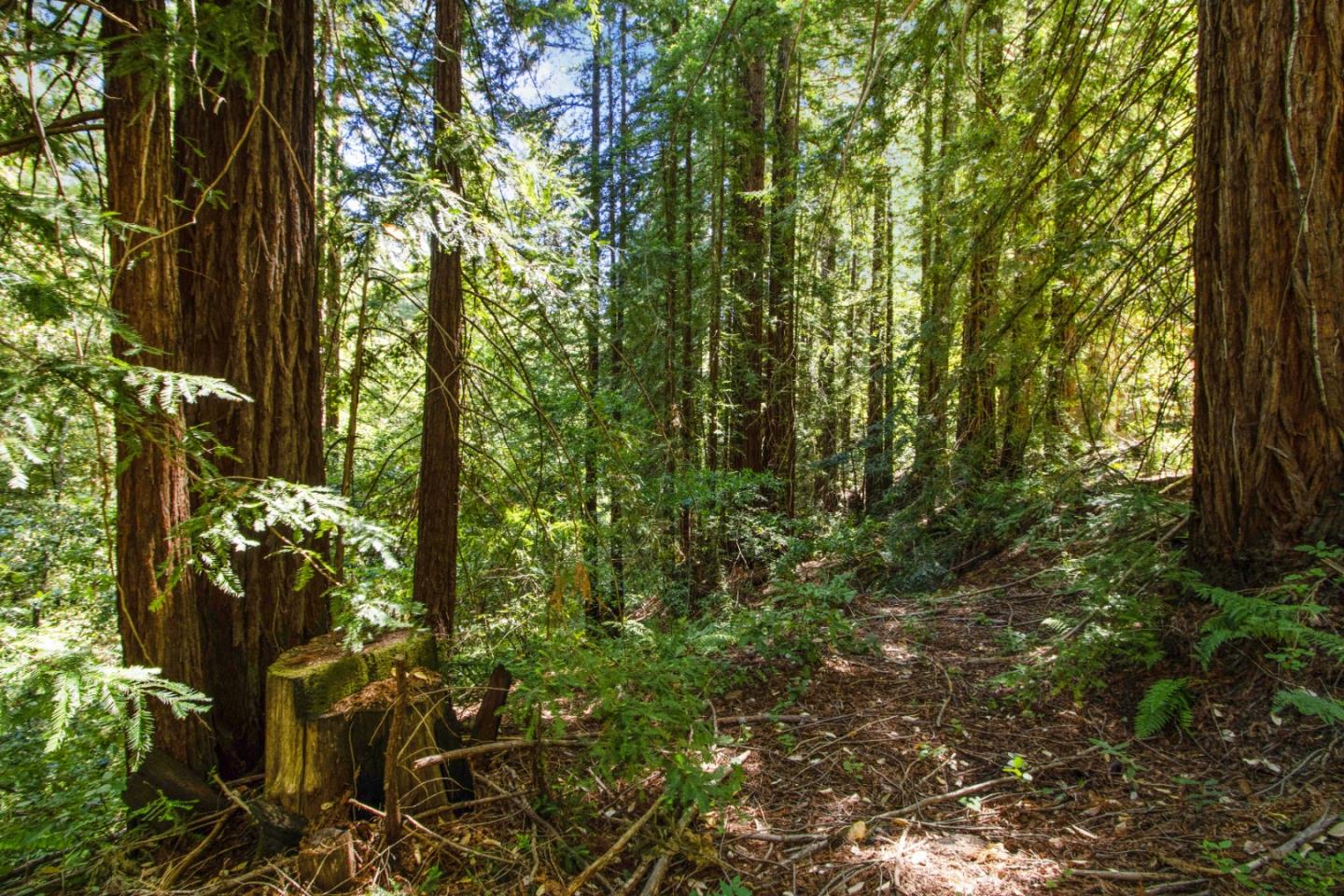Lot 25 Logan Creek