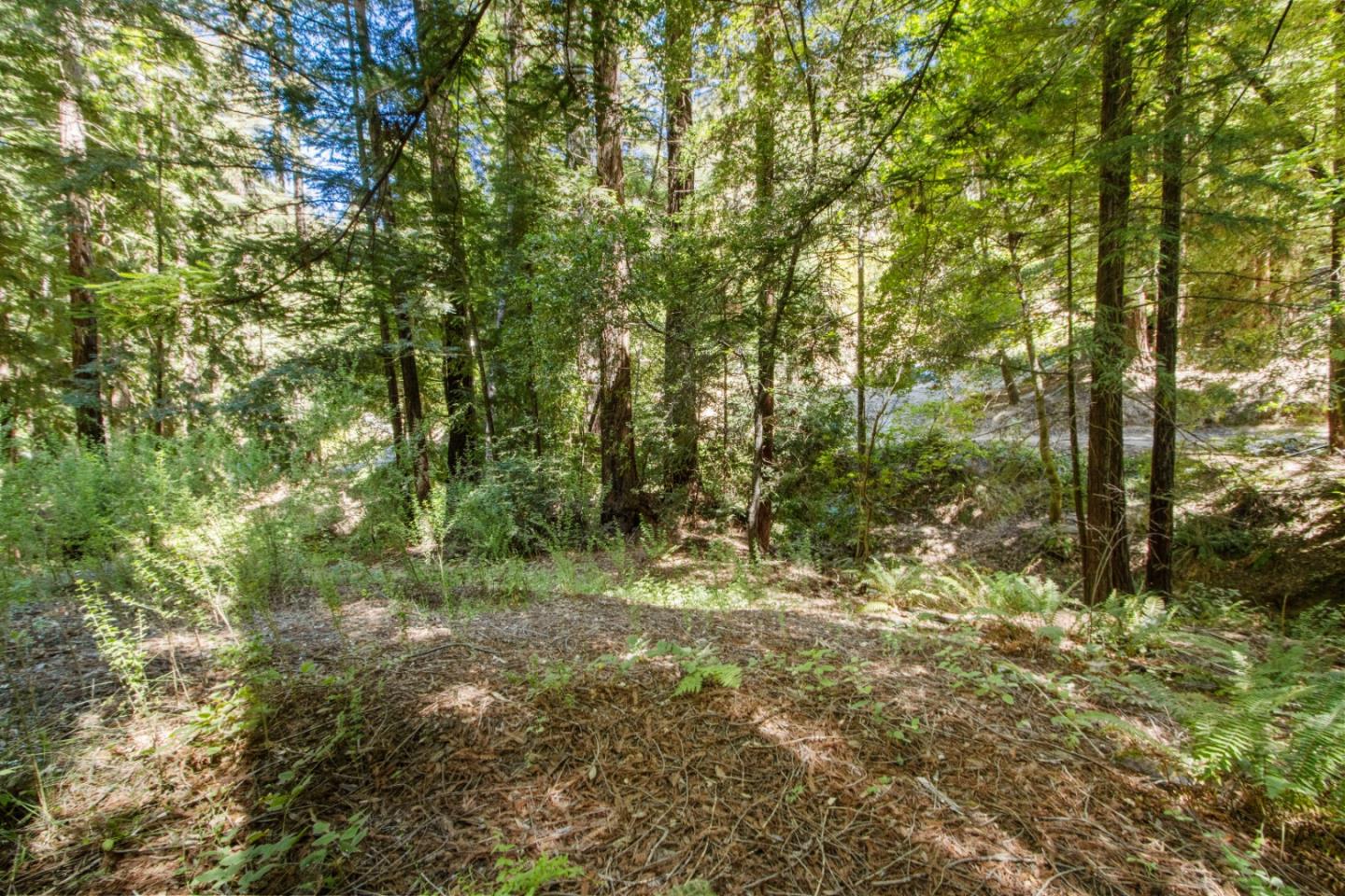 Lot 25 Logan Creek