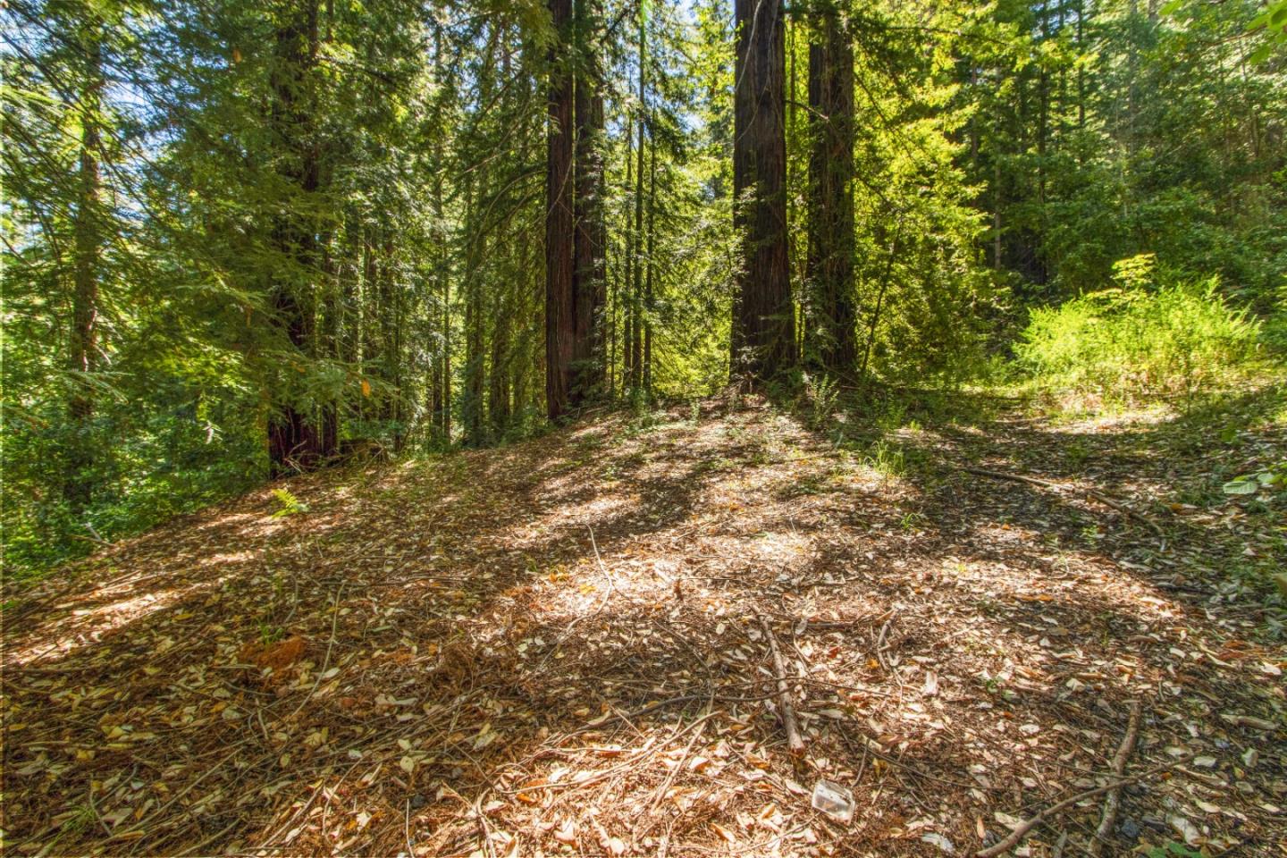 Lot 25 Logan Creek