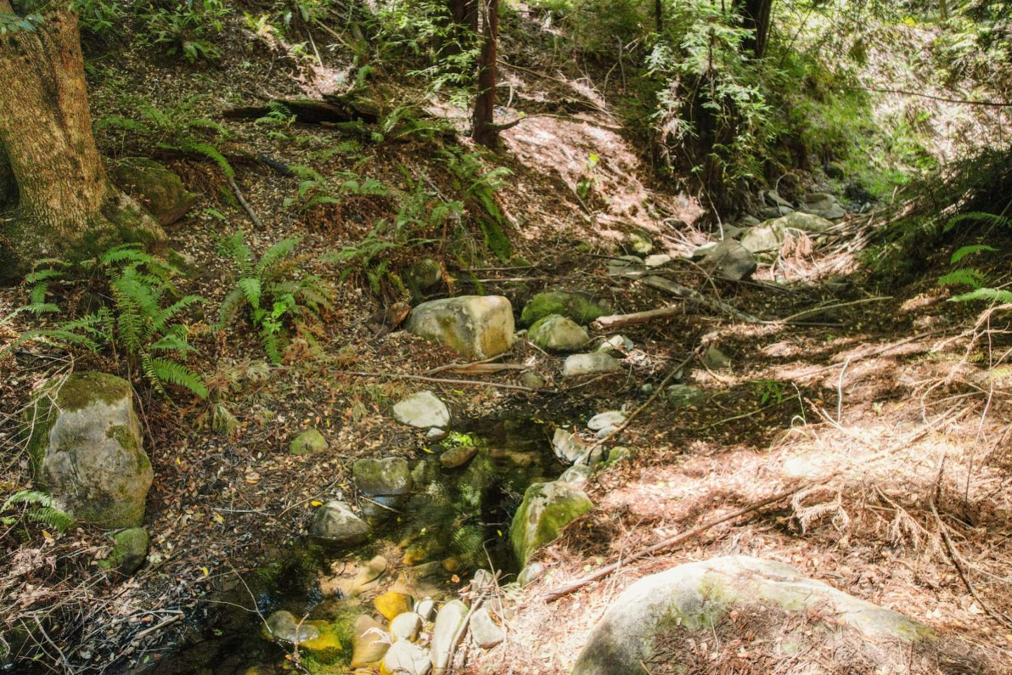 Lot 25 Logan Creek