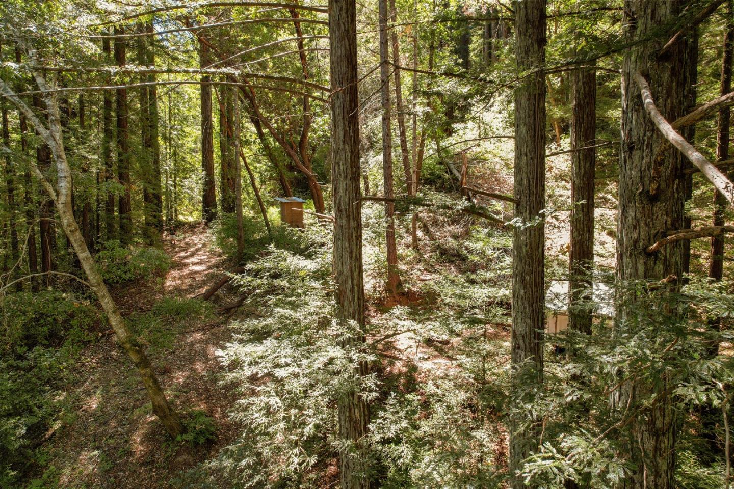 Lot 25 Logan Creek
