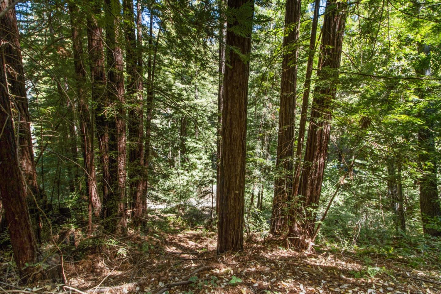 Lot 25 Logan Creek
