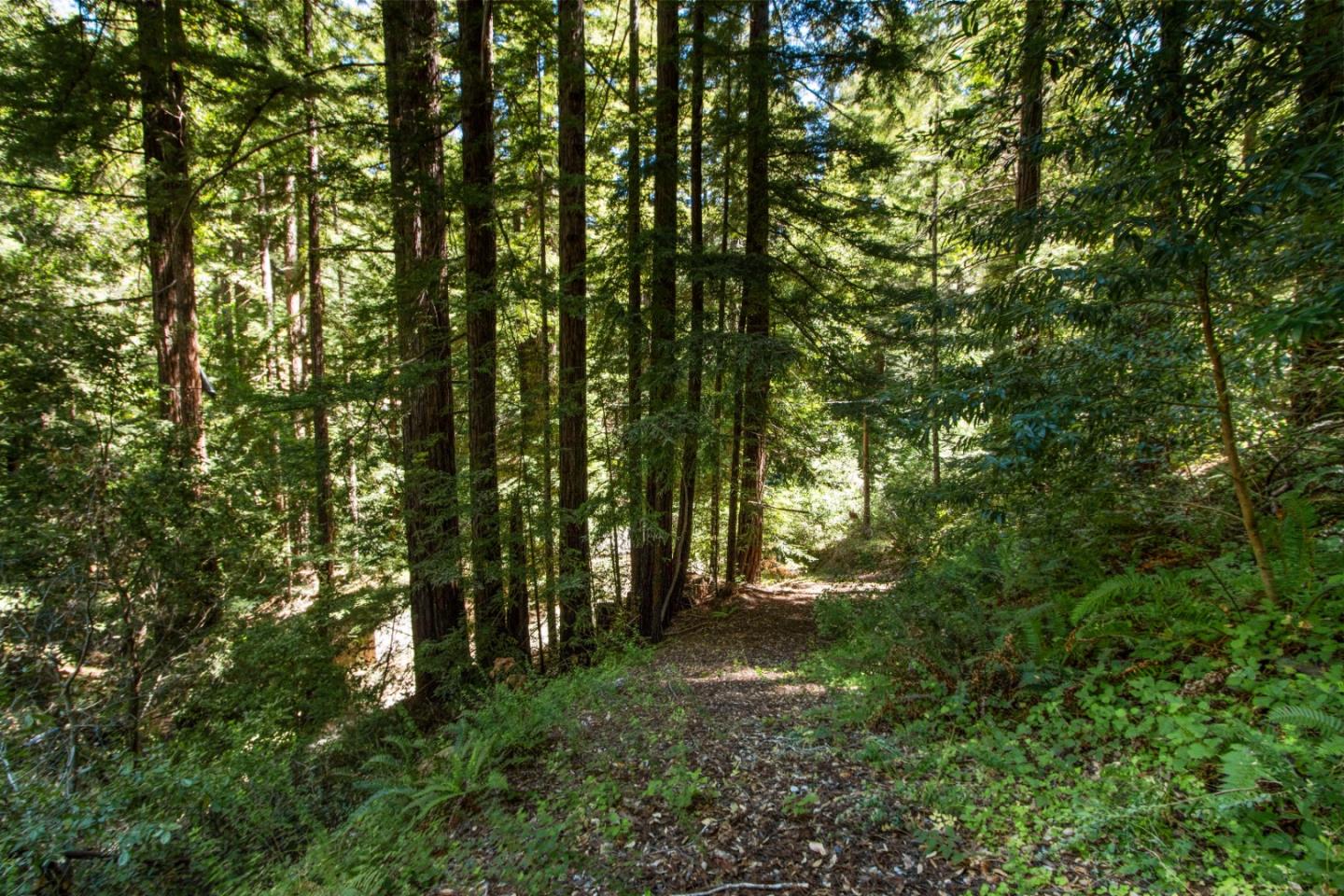Lot 25 Logan Creek