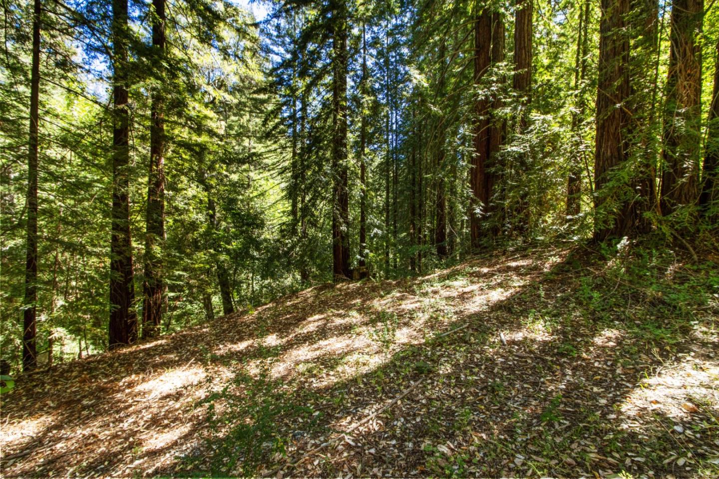 Lot 25 Logan Creek